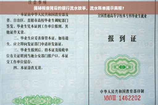 揭秘相亲背后的银行流水故事，流水账单揭示真相？