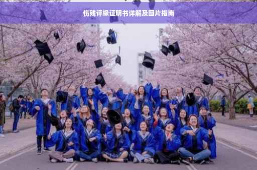 伤残评级证明书详解及图片指南