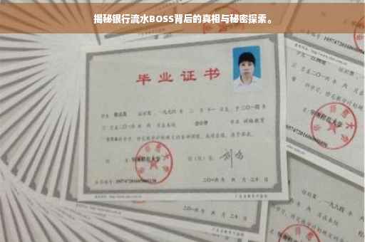 揭秘银行流水BOSS背后的真相与秘密探索。