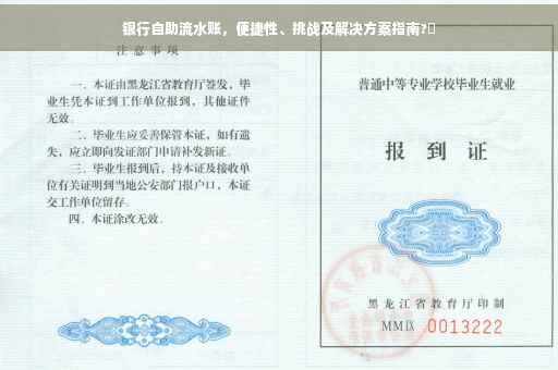 银行自助流水账，便捷性、挑战及解决方案指南?✨