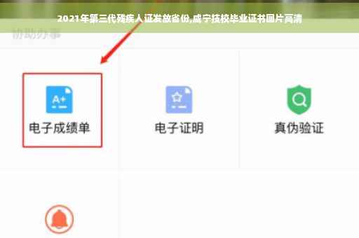 2021年第三代残疾人证发放省份,咸宁技校毕业证书图片高清