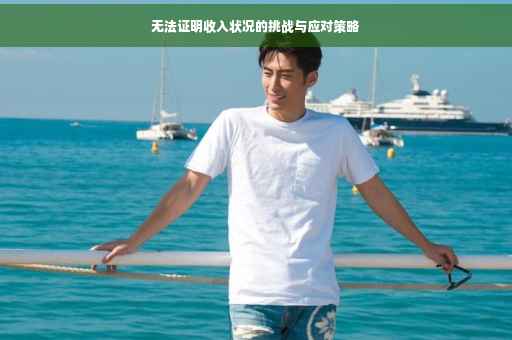无法证明收入状况的挑战与应对策略