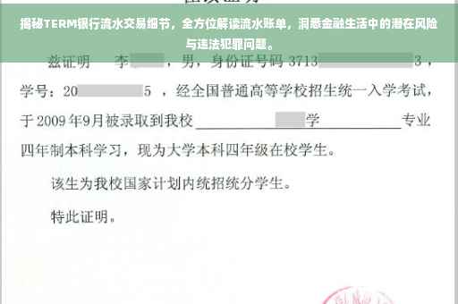 揭秘TERM银行流水交易细节，全方位解读流水账单，洞悉金融生活中的潜在风险与违法犯罪问题。
