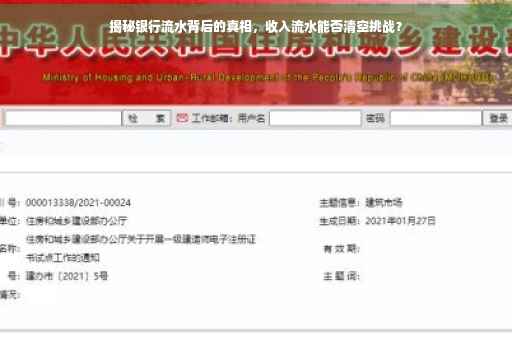 揭秘银行流水背后的真相，收入流水能否清空挑战？