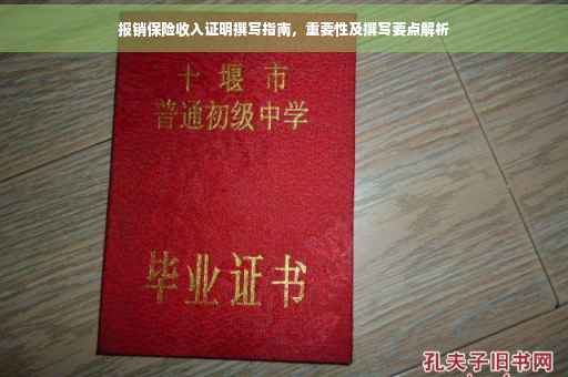报销保险收入证明撰写指南，重要性及撰写要点解析