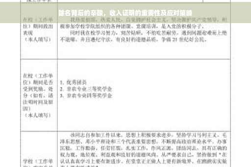 除名背后的辛酸，收入证明的重要性及应对策略