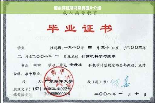 脑震荡证明书及其图片介绍