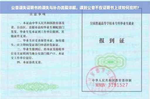 公章遗失证明书的遗失与补办流程详解，遇到公章不在证明书上该如何应对？