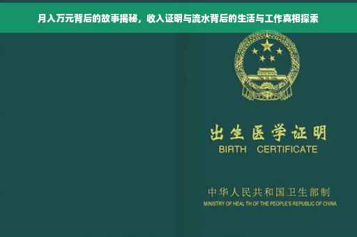 月入万元背后的故事揭秘，收入证明与流水背后的生活与工作真相探索
