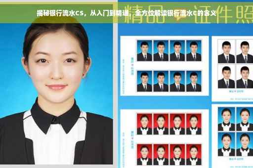 揭秘银行流水CS，从入门到精通，全方位解读银行流水C的含义