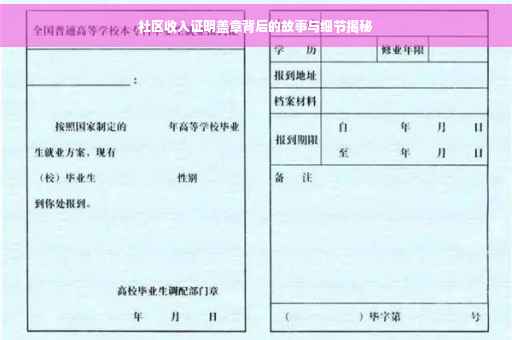 社区收入证明盖章背后的故事与细节揭秘