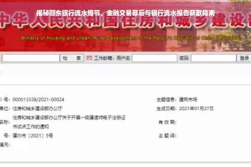 揭秘邵东银行流水细节，金融交易幕后与银行流水报告获取指南