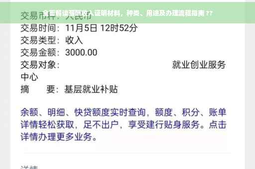 全面解读薪酬收入证明材料，种类、用途及办理流程指南 ??
