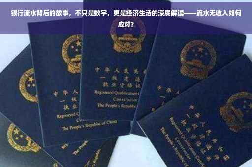 银行流水背后的故事，不只是数字，更是经济生活的深度解读——流水无收入如何应对？