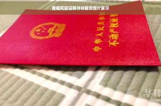 胃癌死因证明书详解及图片展示