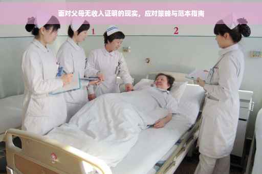 面对父母无收入证明的现实，应对策略与范本指南