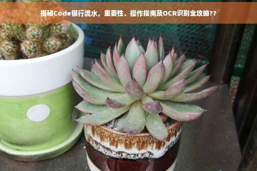 揭秘Code银行流水，重要性、操作指南及OCR识别全攻略??