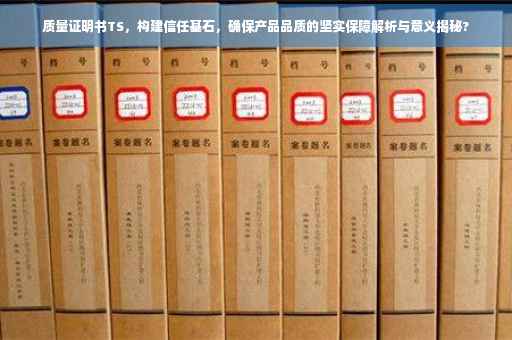 质量证明书TS，构建信任基石，确保产品品质的坚实保障解析与意义揭秘?