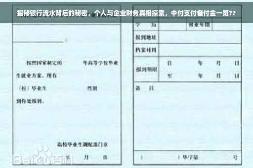 揭秘银行流水背后的秘密，个人与企业财务真相探索，中付支付备付金一览??