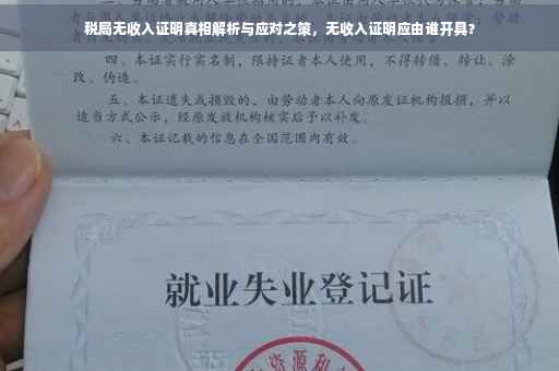 税局无收入证明真相解析与应对之策，无收入证明应由谁开具？