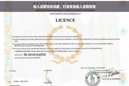 收入证明范本详解，打造专业收入证明指南