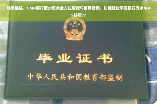 独家揭秘，CMB银行流水账单全方位解读与使用指南，助你轻松掌握银行流水IBPS秘籍??
