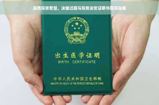 洞悉投资智慧，决策过程与投资决定证明书撰写指南