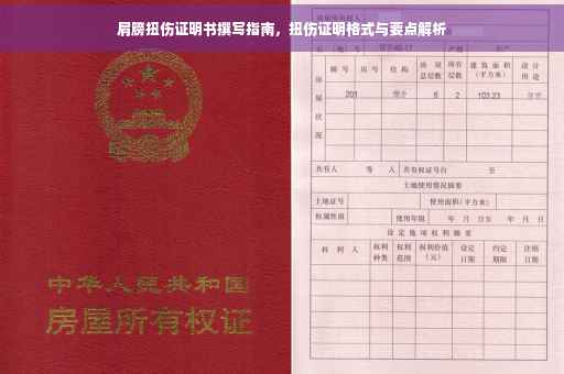 肩膀扭伤证明书撰写指南，扭伤证明格式与要点解析