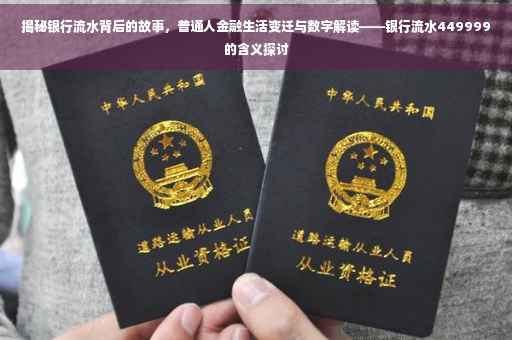 揭秘银行流水背后的故事，普通人金融生活变迁与数字解读——银行流水449999的含义探讨