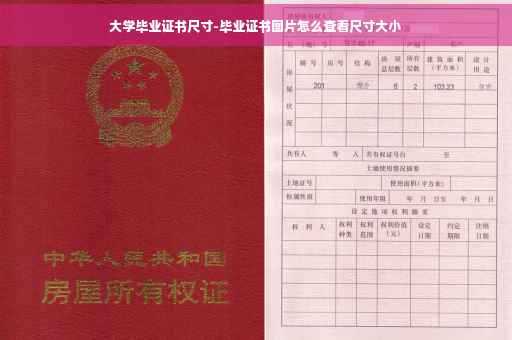 大学毕业证书尺寸-毕业证书图片怎么查看尺寸大小