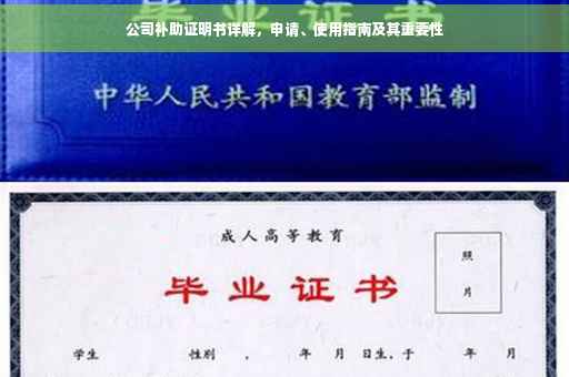 公司补助证明书详解，申请、使用指南及其重要性