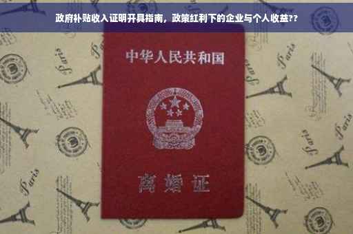 政府补贴收入证明开具指南，政策红利下的企业与个人收益??