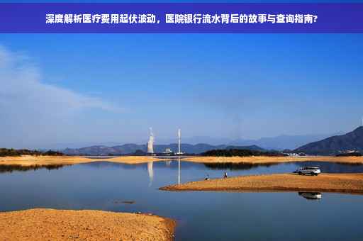 深度解析医疗费用起伏波动，医院银行流水背后的故事与查询指南?