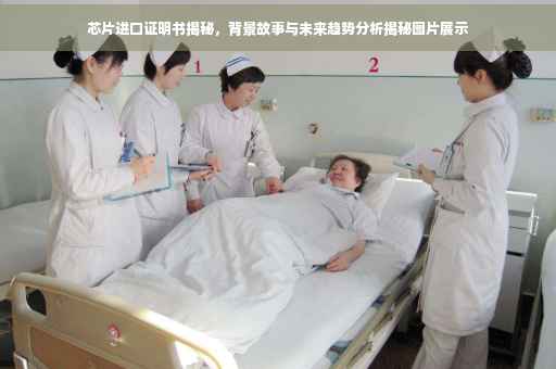 芯片进口证明书揭秘，背景故事与未来趋势分析揭秘图片展示
