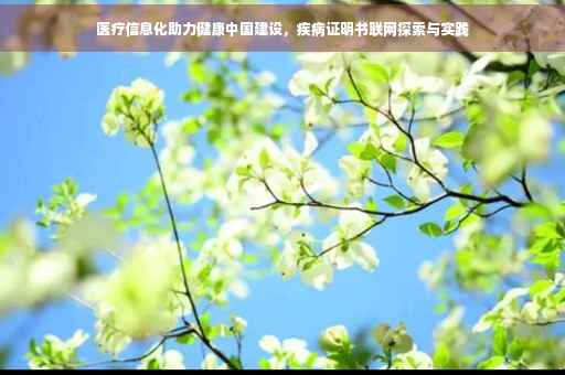 医疗信息化助力健康中国建设，疾病证明书联网探索与实践
