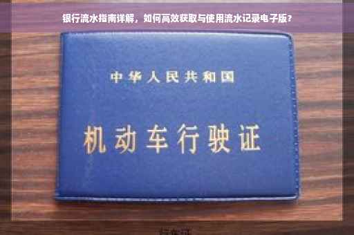 银行流水指南详解，如何高效获取与使用流水记录电子版？