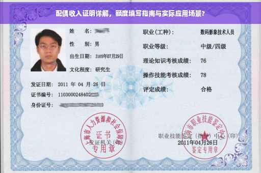 配偶收入证明详解，额度填写指南与实际应用场景?