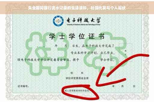 失业期间银行流水记录的生活波折，社保代发与个人起伏