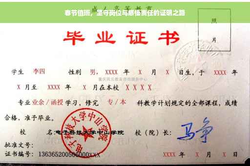 春节值班，坚守岗位与感悟责任的证明之路