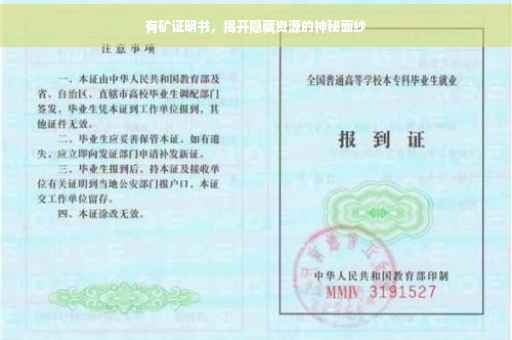有矿证明书，揭开隐藏资源的神秘面纱