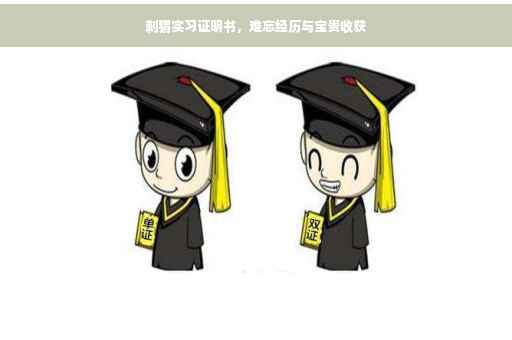 刺猬实习证明书，难忘经历与宝贵收获