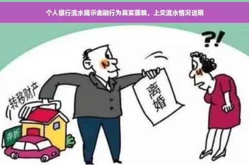 个人银行流水揭示金融行为真实面貌，上交流水情况说明