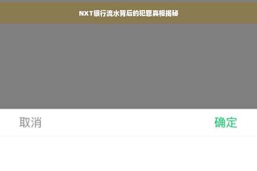 NXT银行流水背后的犯罪真相揭秘