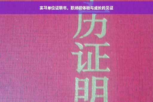 实习单位证明书，职场初体验与成长的见证