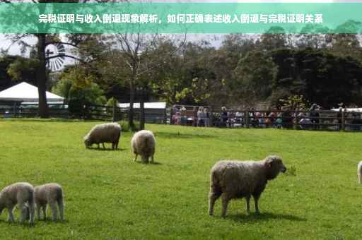 完税证明与收入倒退现象解析，如何正确表述收入倒退与完税证明关系