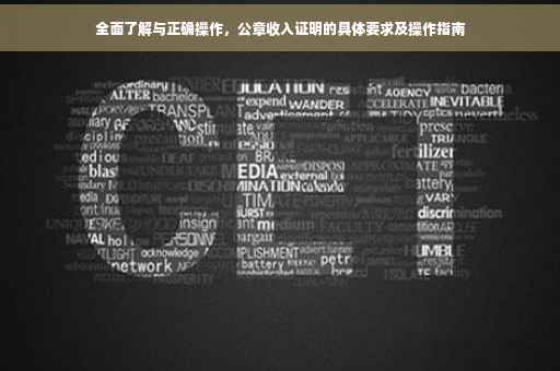 全面了解与正确操作，公章收入证明的具体要求及操作指南