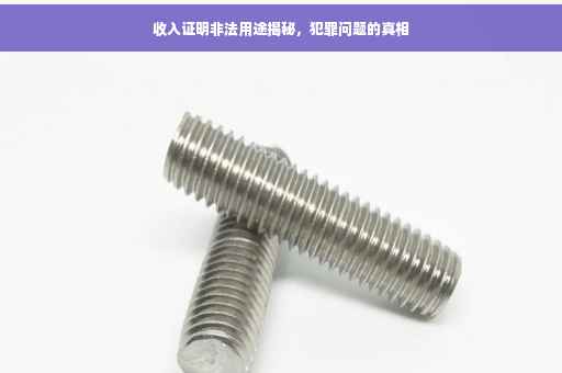 收入证明非法用途揭秘，犯罪问题的真相
