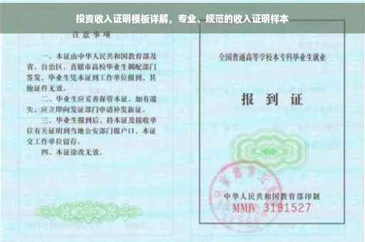 投资收入证明模板详解，专业、规范的收入证明样本