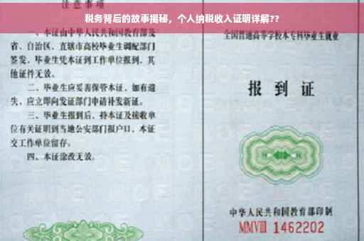 税务背后的故事揭秘，个人纳税收入证明详解??
