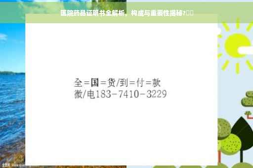 医院药品证明书全解析，构成与重要性揭秘?⚡️